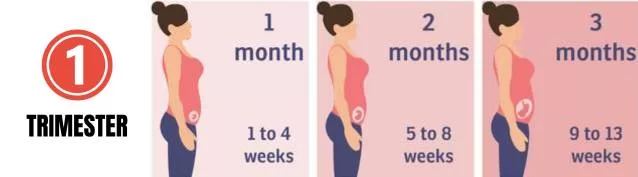 Considerations for Using Infrared Sauna in the First Trimester of Pregnancy